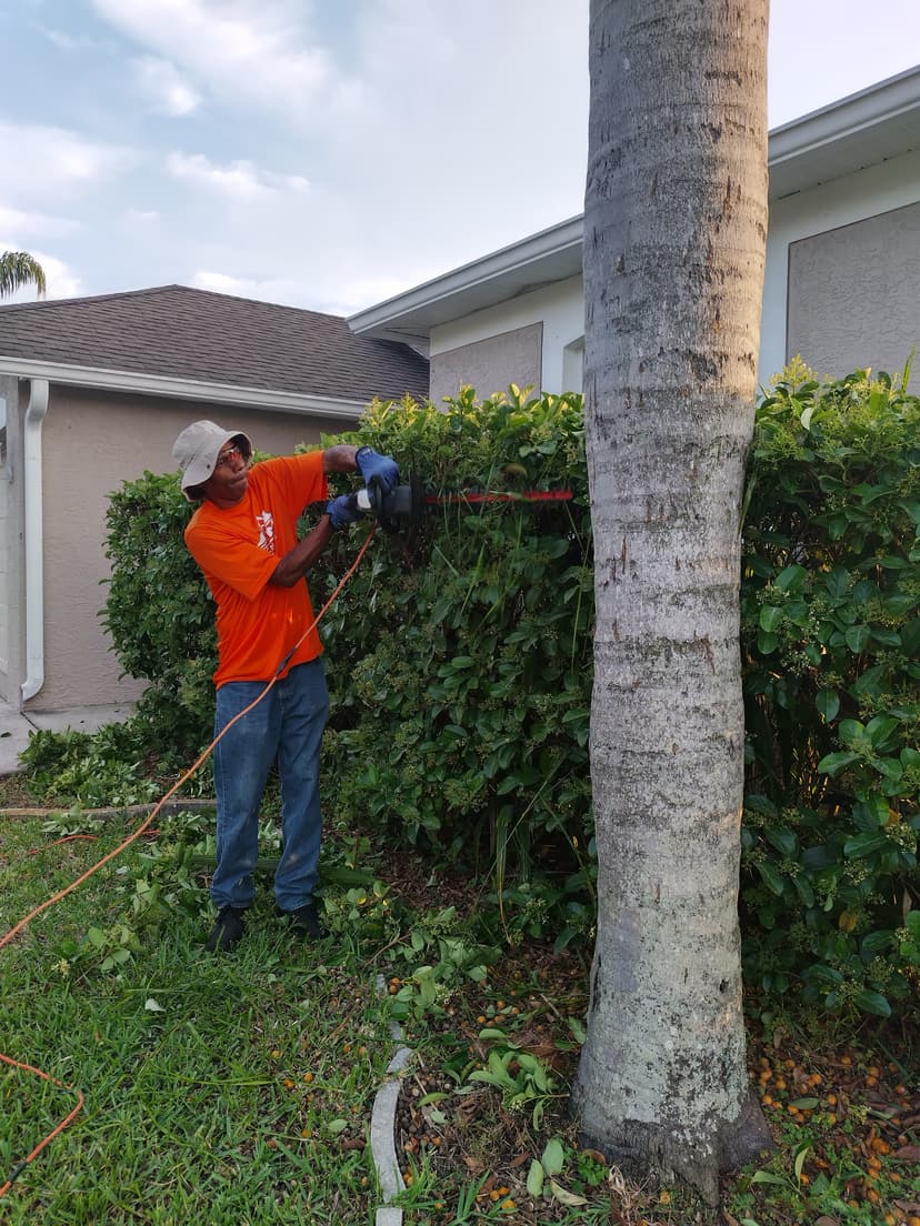 Handyman Services