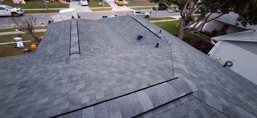 Roofing and Maintenance